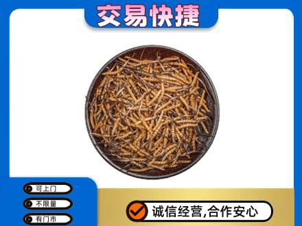 常州高价回收散虫草
